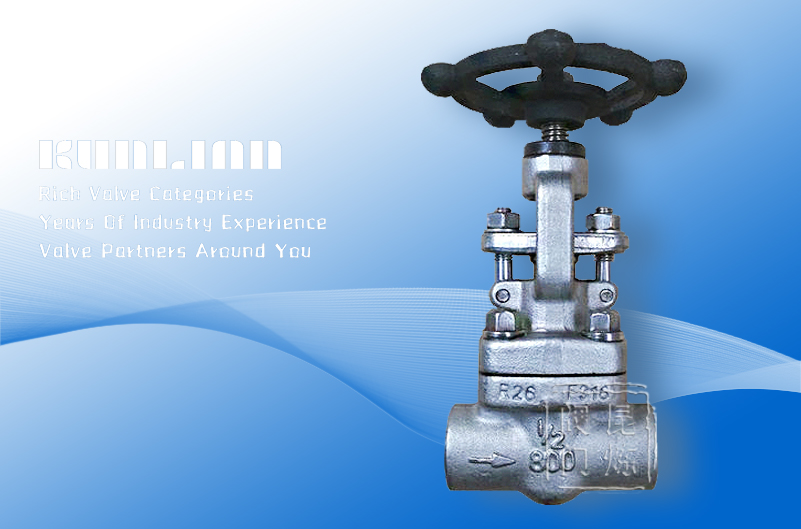 Z11H��Z61H���l�y