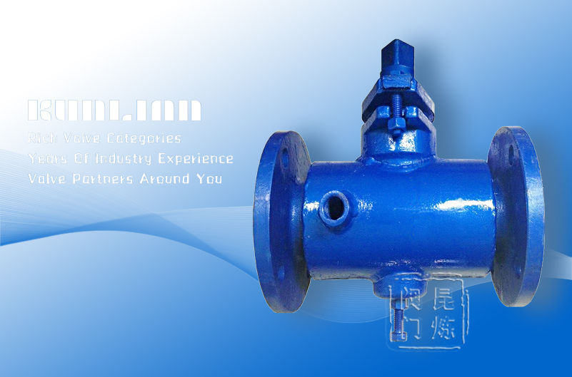 BX43W��ͨ���������y