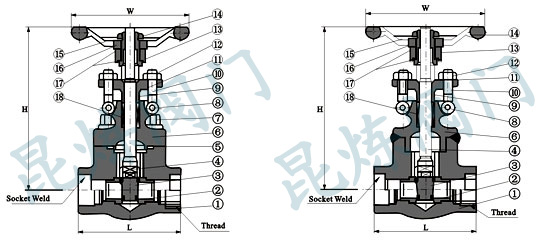 Z11H��Z61H���l�y�Y(ji��)��(g��u)�D- �Ϻ������y�T�������޹�˾