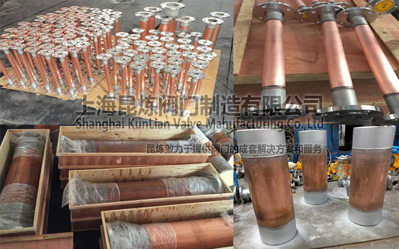 FP��FPV-XT�yǰ�y������������DƬ- �Ϻ������y�T�������޹�˾