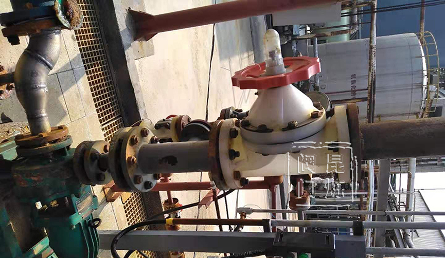 ��Ĥ�y���b- �Ϻ������y�T�������޹�˾