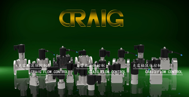CRAIGֱ��(d��ng)ʽ늴��y