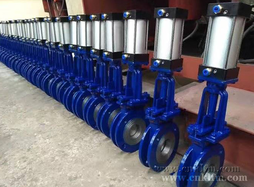 ���(d��ng)�����l�y- �Ϻ������y�T�������޹�˾