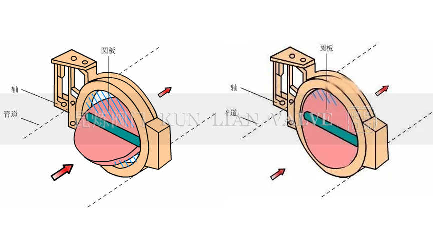 ���y����ԭ��- �Ϻ������y�T(m��n)�������޹�˾