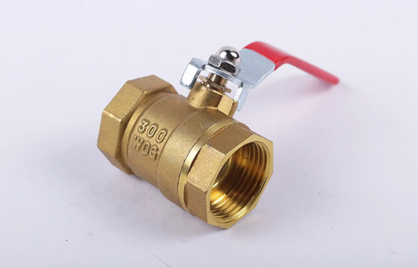 �~���y�DƬ